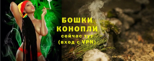 СК Кодинск