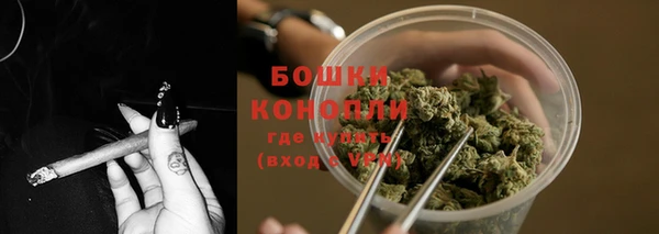 дурь Козельск