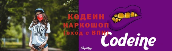 СК Кодинск