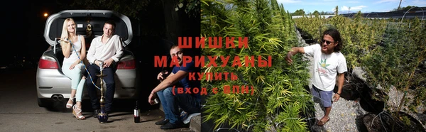 дурь Козельск