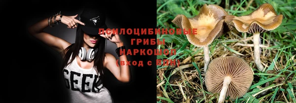 хмурый Костерёво