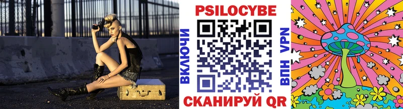 Галлюциногенные грибы Psilocybine cubensis  Купить где  Дятьково 